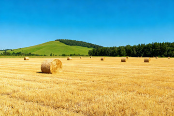 田园特写草垛秸秆1