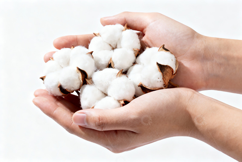 高清大图下载【趣麦麦图】-棉花棉絮自然农作物8