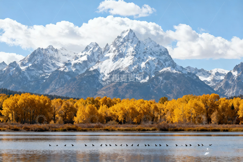 高清大图下载【趣麦麦图】秋天河流落叶3