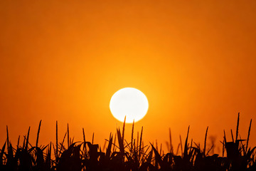 秋季晚霞夕阳西下2