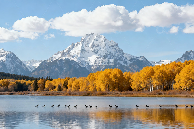 高清大图下载【趣麦麦图】-秋天河流落叶2