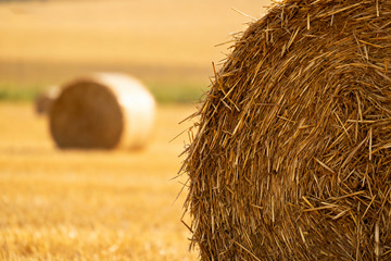 田园特写草垛秸秆0