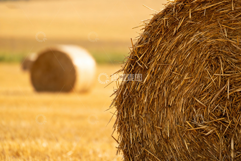 高清大图下载【趣麦麦图】田园特写草垛秸秆0