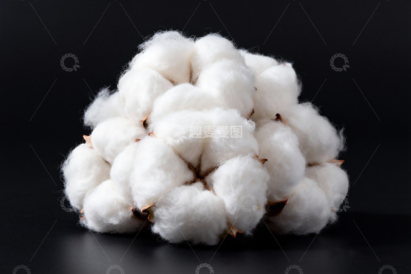 高清大图下载【趣麦麦图】棉花纯棉棉絮特写1