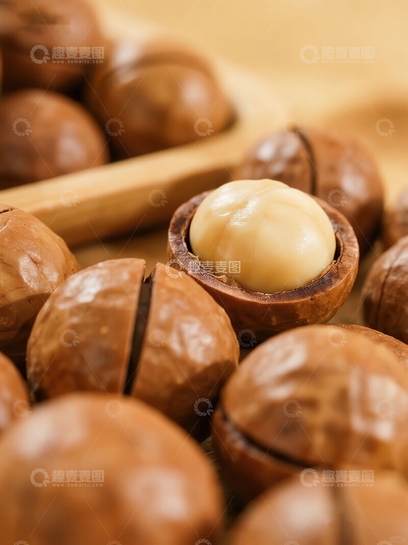 高清大图下载【趣麦麦图】夏威夷果  圆滚  饱满