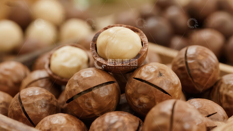 高清大图下载【趣麦麦图】夏威夷果  圆滚   健脾