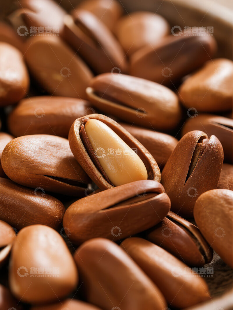 高清大图下载【趣麦麦图】松子  松香  小仁 