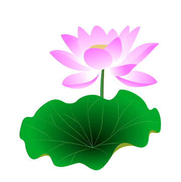 卡通风格荷花矢量插画