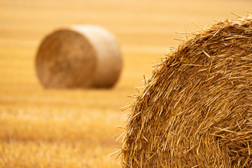 田园特写草垛秸秆