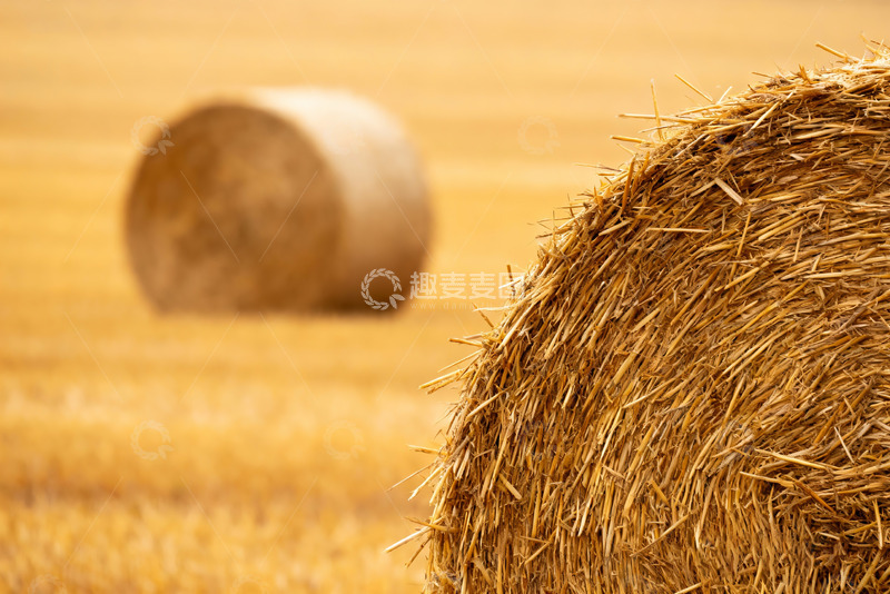 高清大图下载【趣麦麦图】田园特写草垛秸秆