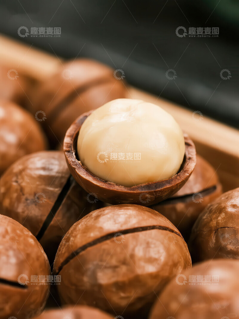 高清大图下载【趣麦麦图】夏威夷果  圆滚  抗衰