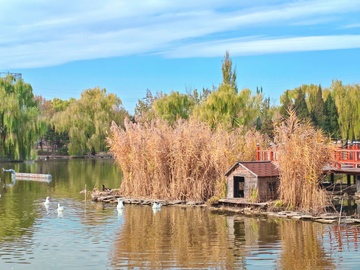 湖畔秋景自然风光摄影图片