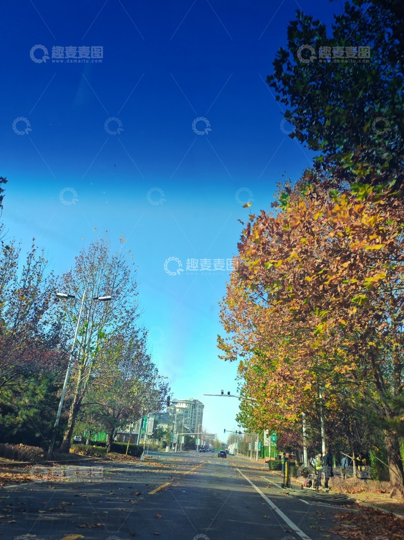 高清大图下载【趣麦麦图】秋日街道秋叶蓝天