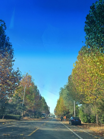 秋日街道蓝天美景摄影