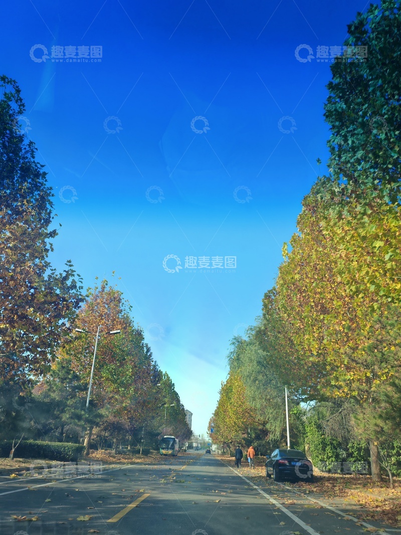 高清大图下载【趣麦麦图】秋日街道蓝天美景摄影