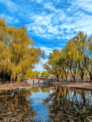 秋日湖畔风景摄影