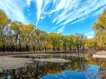 秋日湖畔风光摄影5