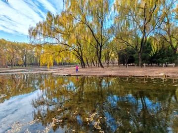 秋日湖畔风景摄影图片