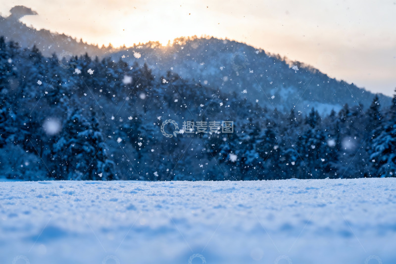 高清大图下载【趣麦麦图】雪落山林蓝调冬日雪景全景3