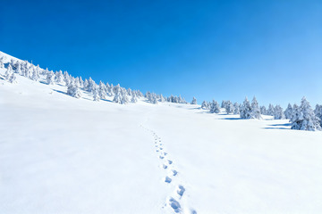 雪岭足迹蓝空雪林冬日全景0