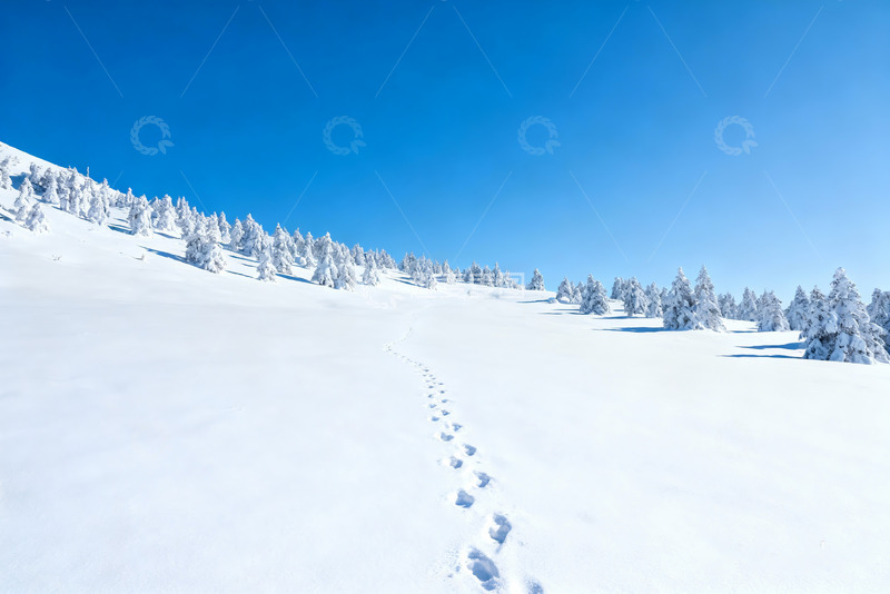高清大图下载【趣麦麦图】-雪岭足迹蓝空雪林冬日全景0