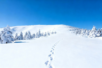 雪岭足迹蓝空雪林冬日全景1