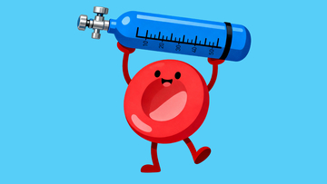 扛着氧气瓶的红细胞8