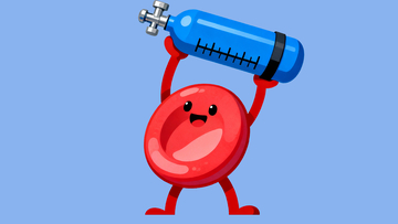 扛着氧气瓶的红细胞7