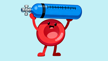 扛着氧气瓶的红细胞6