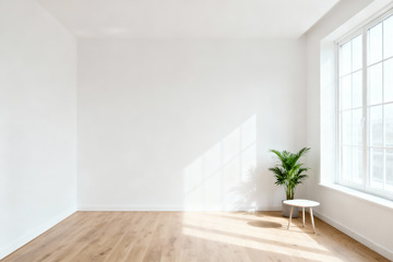 极简空房绿植光影室内设计素材