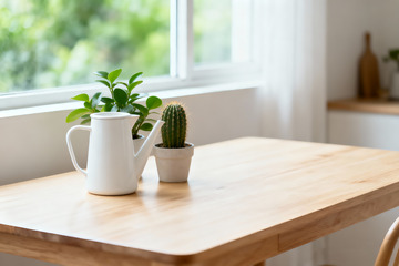 极简空房绿植光影室内设计素材0