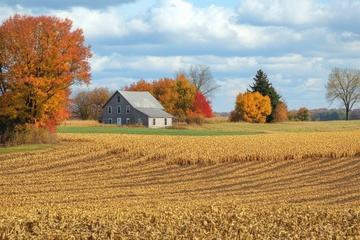 乡村农田建筑小屋