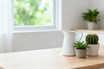 极简空房绿植光影室内设计素材5