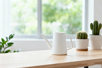 极简空房绿植光影室内设计素材3