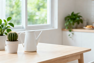 极简空房绿植光影室内设计素材6