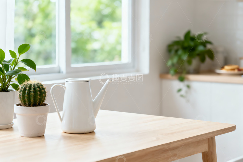 高清大图下载【趣麦麦图】极简空房绿植光影室内设计素材6