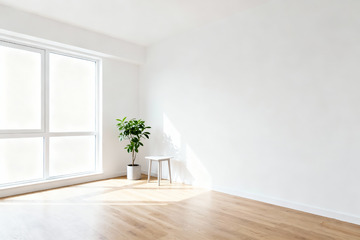 极简空房绿植光影室内素材2