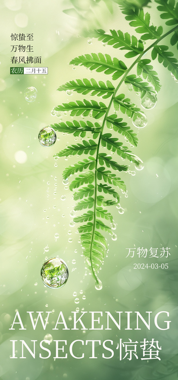 春日惊蛰蕨叶露珠海报