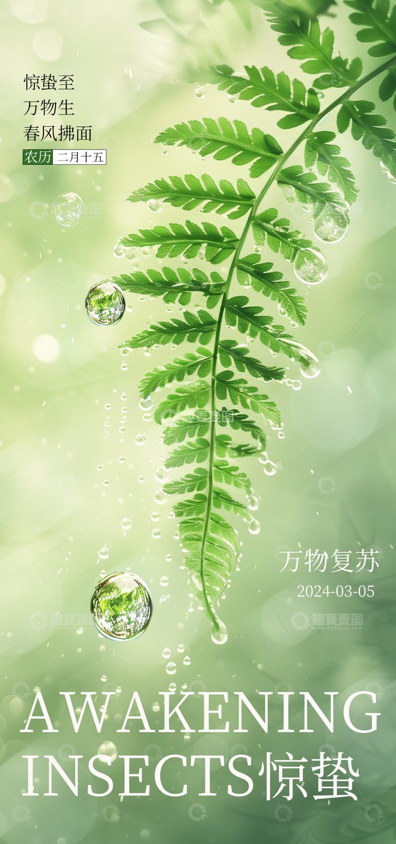 源文件下载【趣麦麦图】春日惊蛰蕨叶露珠海报