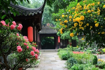 深宅大院建筑花卉