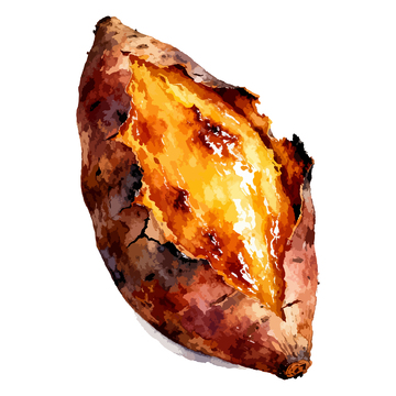 手绘烤红薯美食插画