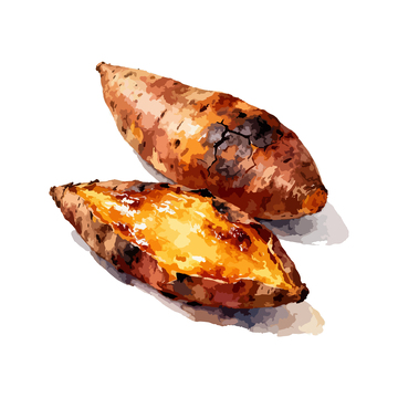 手绘烤红薯美食插画