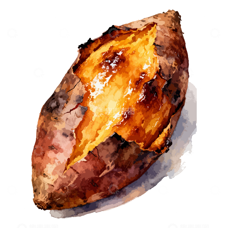 源文件下载【趣麦麦图】水彩烤地瓜美食插画设计素材