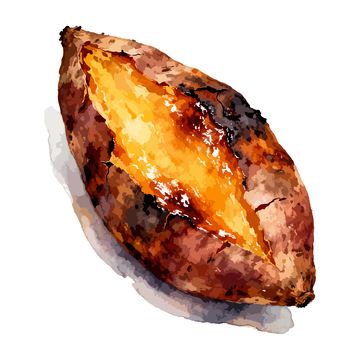 水彩烤红薯美食插画