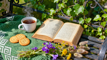 悠闲午后阅读时光户外自然风景静物写真
