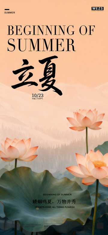 立夏荷花意境海报