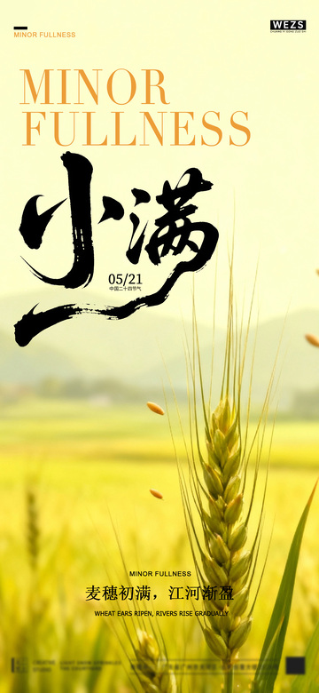 稻田风光小满节气海报