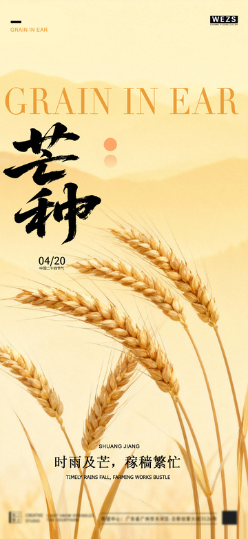 麦穗芒种节气海报