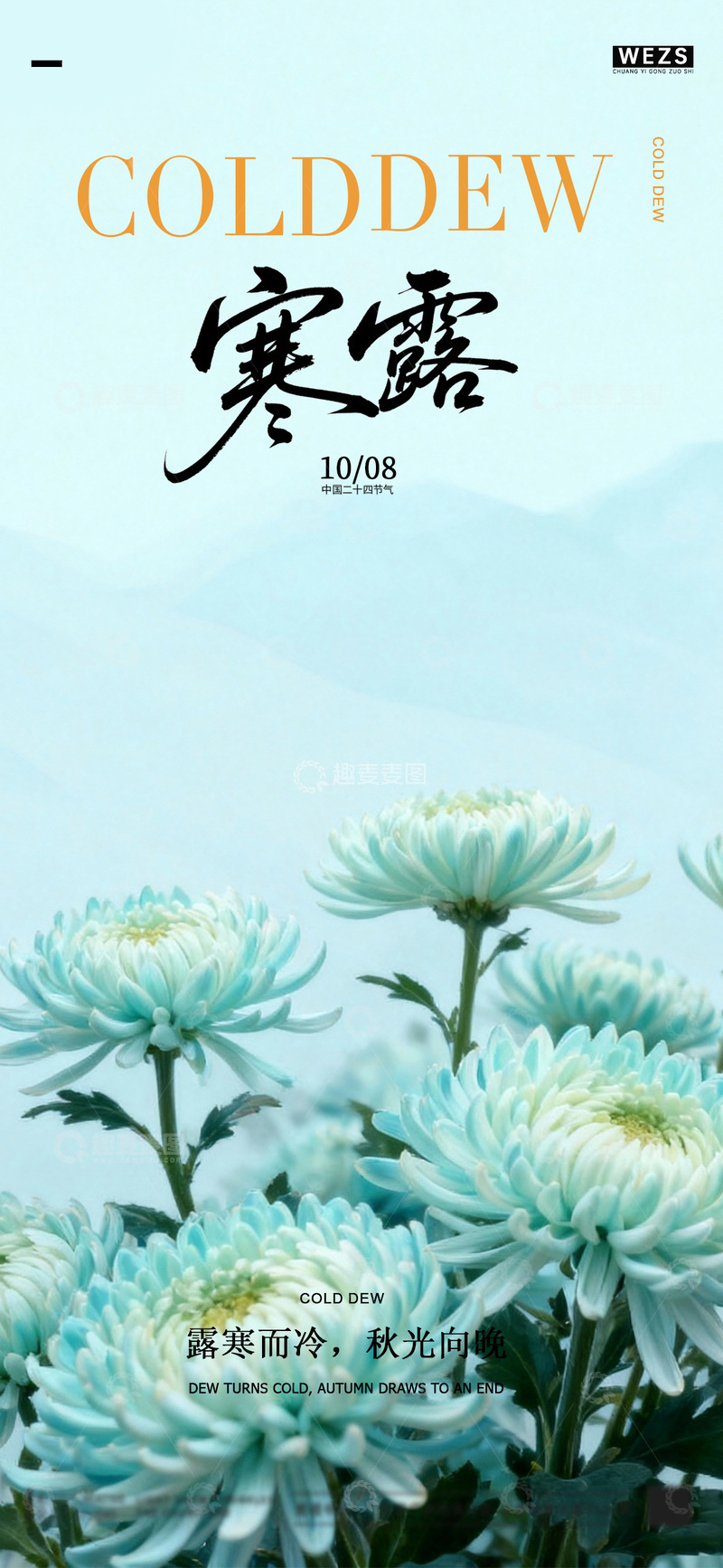 源文件下载【趣麦麦图】-寒露菊花风景摄影