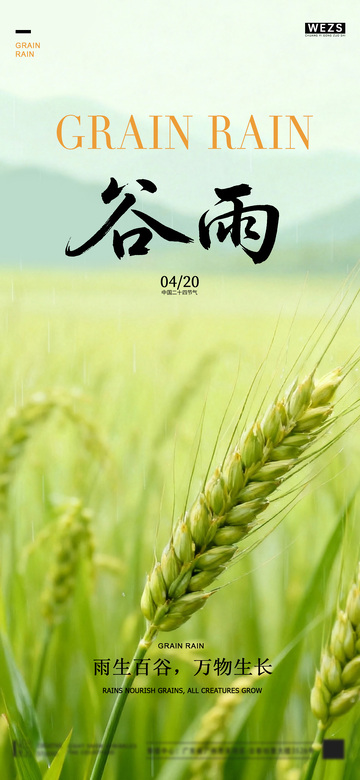 谷雨时节麦田美景宣传海报